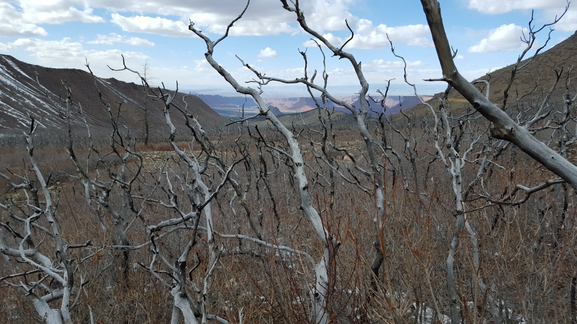 Above Moab Utah 24.03.162016-03-25 15.59.21