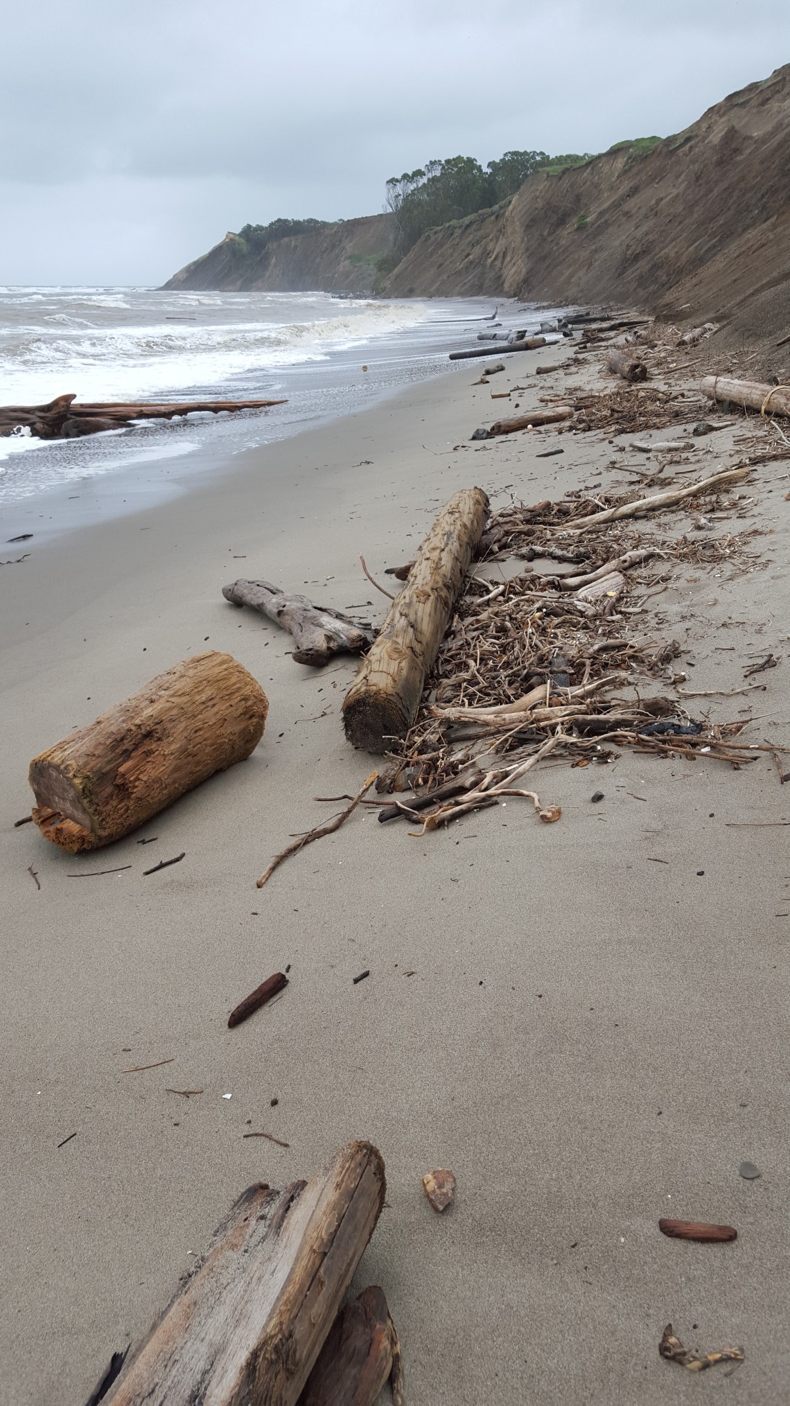 agata-beech-bolinas-11-03-1620160311_132603