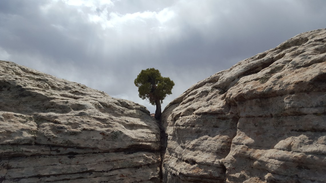 Arches Devils Garden Trail Moab Utah 26.03.162016-03-26 14.16.20