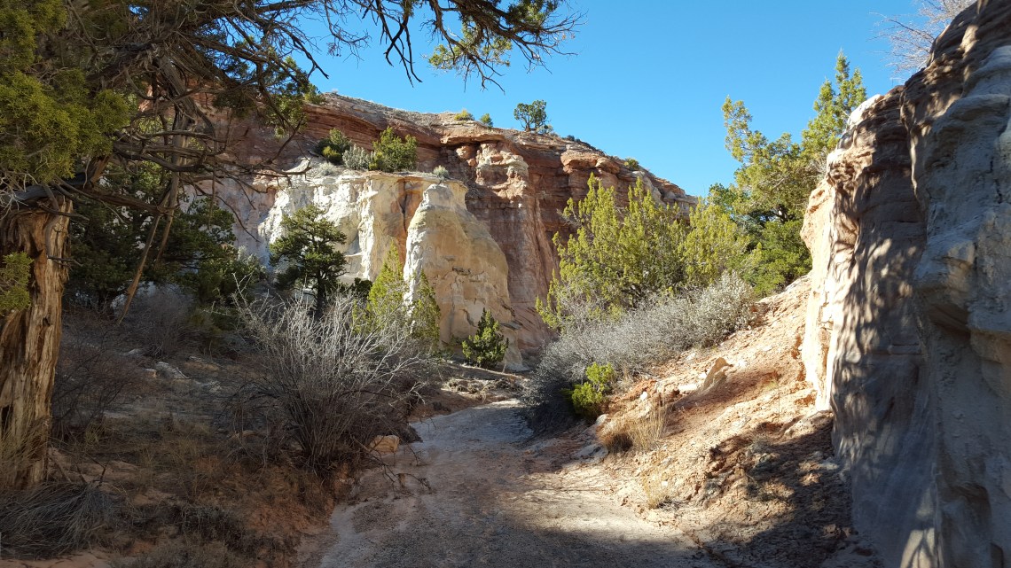 Petrified Forrest Hike Highway 12 23.03.162016-03-23 16.50.28.jpg