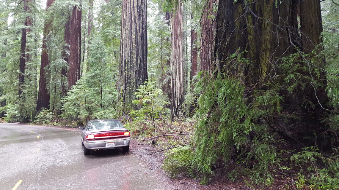 Shelter Cove Road Humbolt County California 13.03.1620160313_164210.jpg