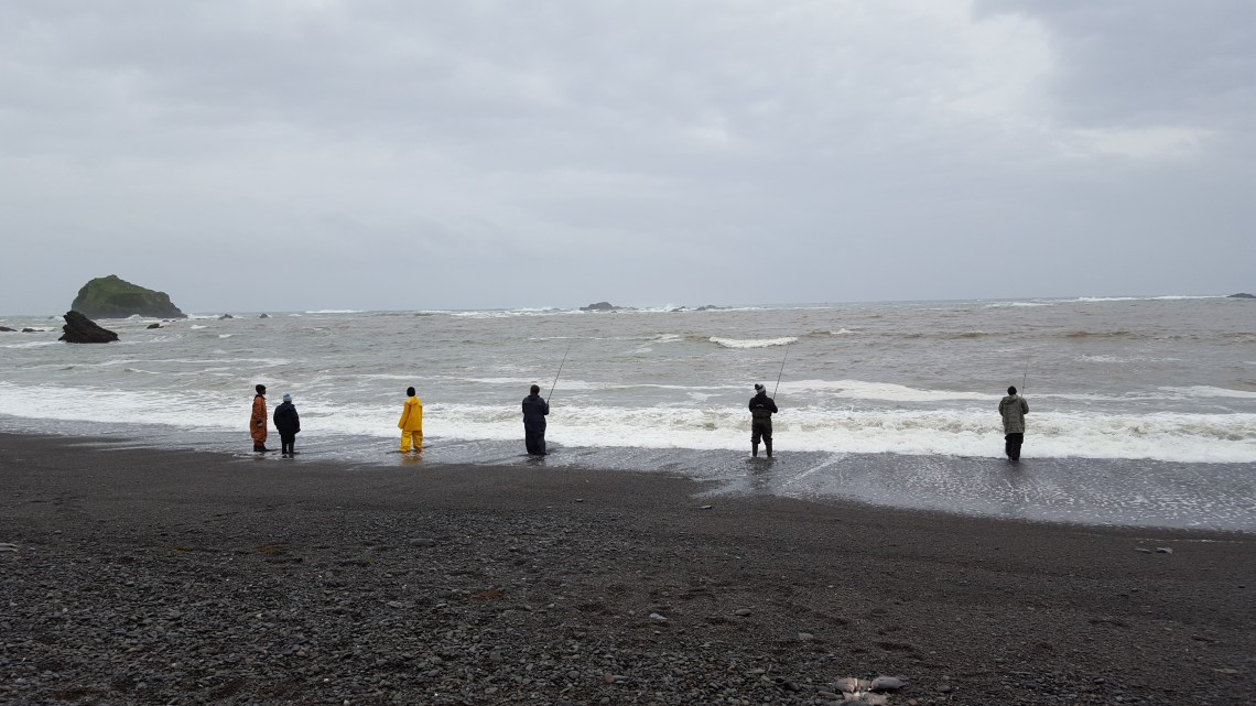 Van Damme Beach Highway 1 13.03.1620160312_165958