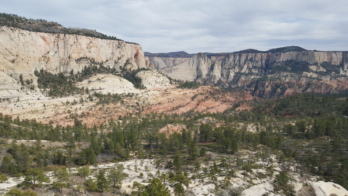 Wildcat Trail Zion National Park 21.03.162016-03-21 16.17.03