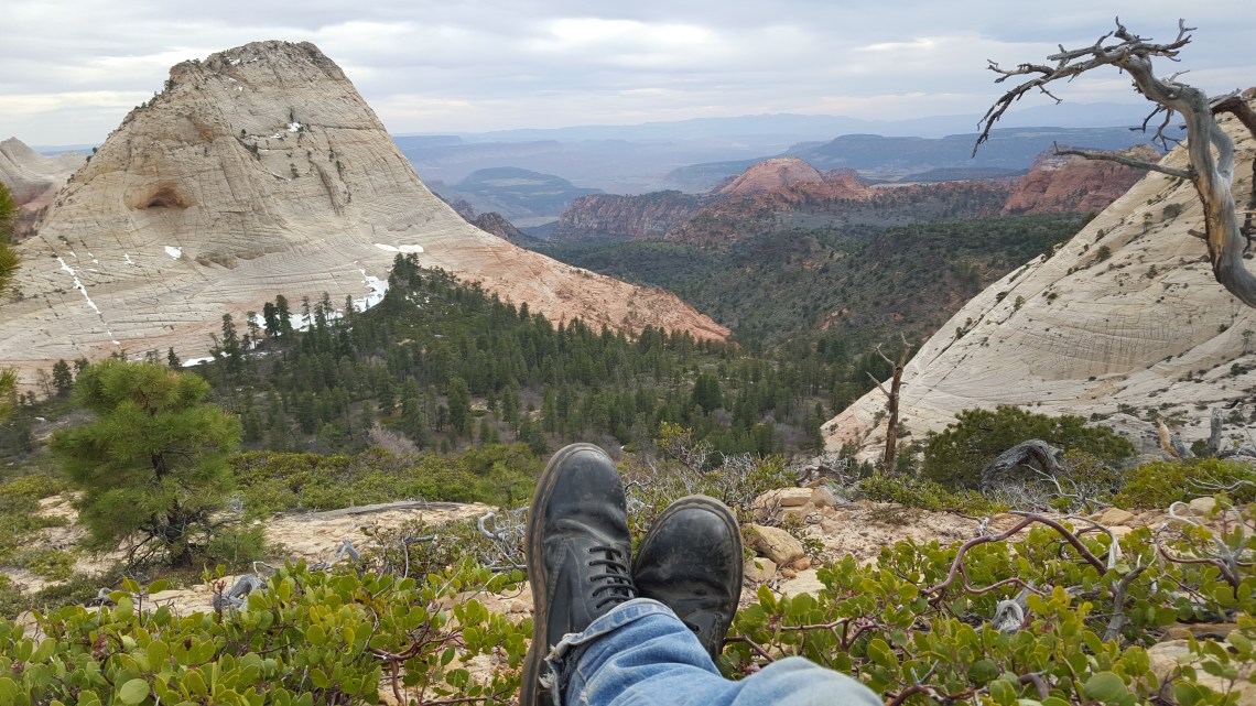 Wildcat Trail Zion National Park 21.03.162016-03-21 17.16.26