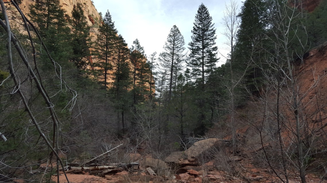 Zion National Park Kolob Canyon Trail 20.03.1620160320_173101
