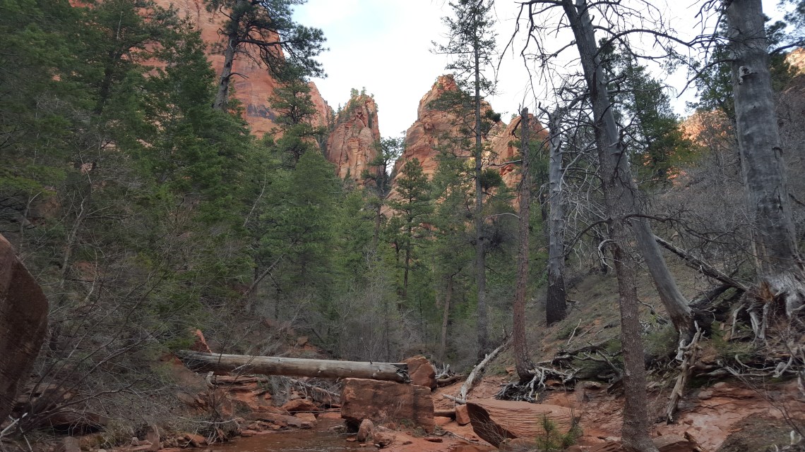 Zion National Park Kolob Canyon Trail 20.03.1620160320_173248
