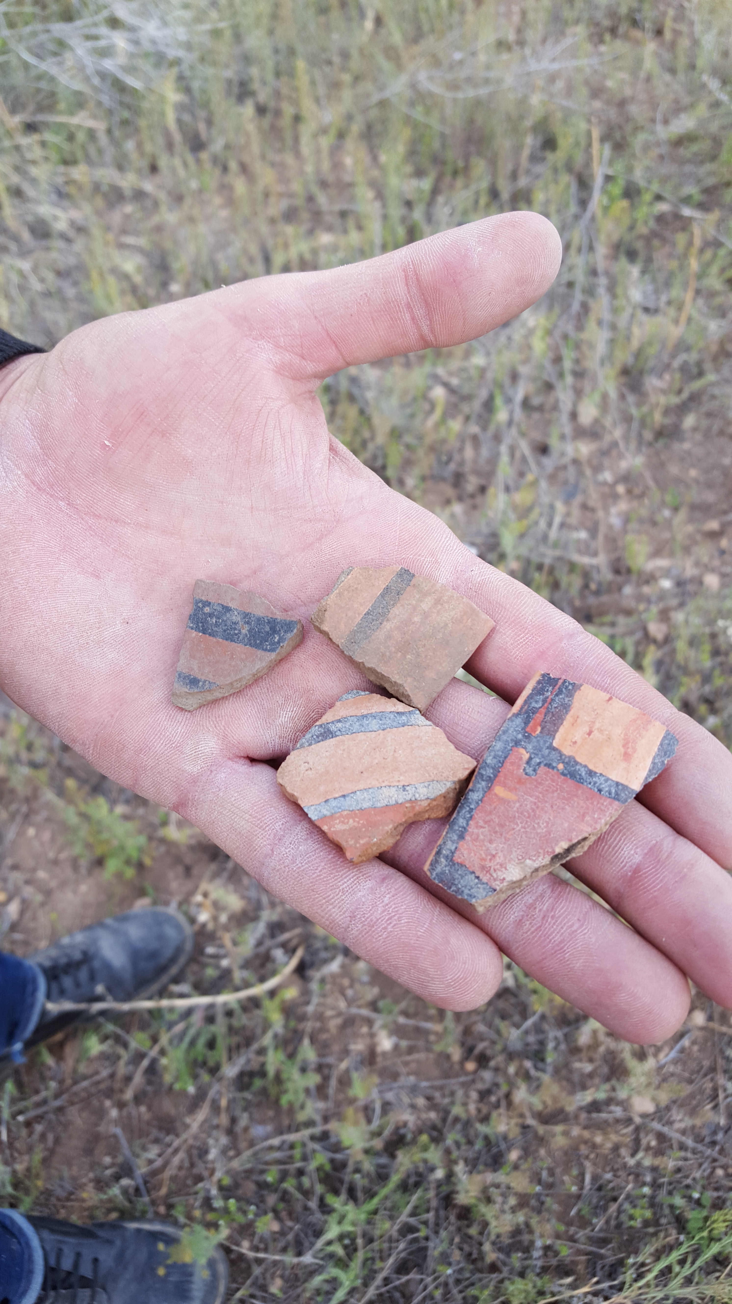 2016-04-23 18.36.45.jpg