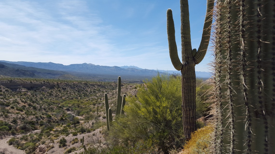 Highway 188 Arizona 19.04.162016-04-19 15.49.49