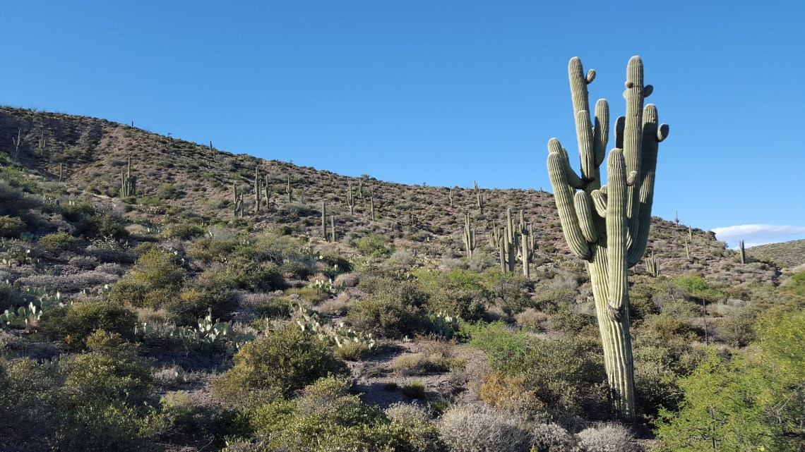 Highway 188 Tonto Basin Arizona 18.04.162016-04-18 17.56.31