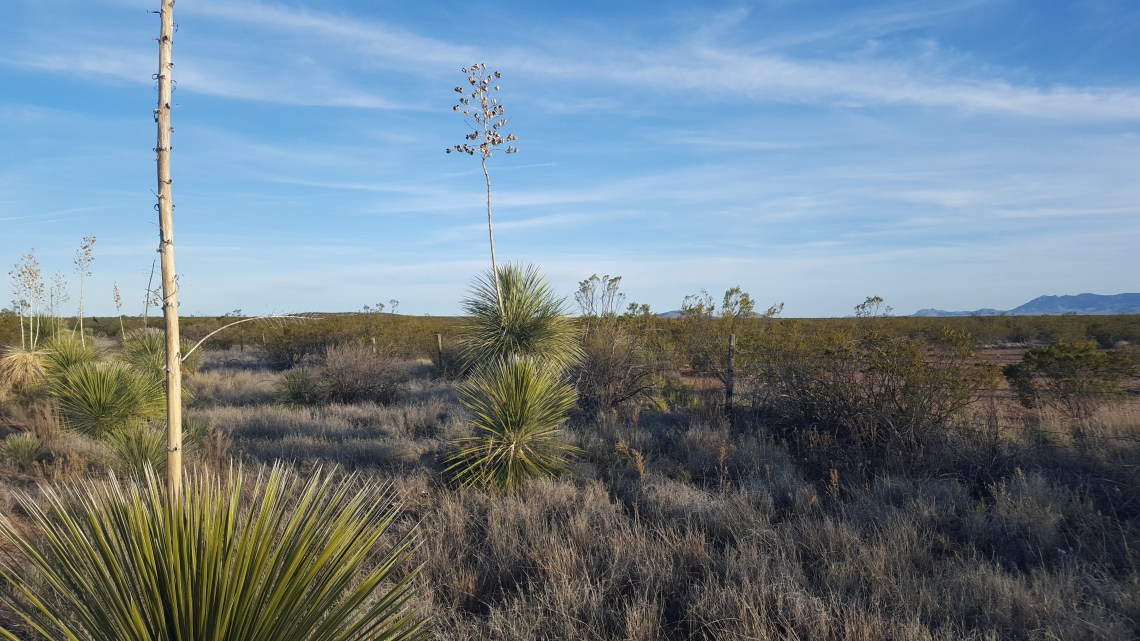 Highway 70 After Duncan NM 19.04.162016-04-19 18.56.29
