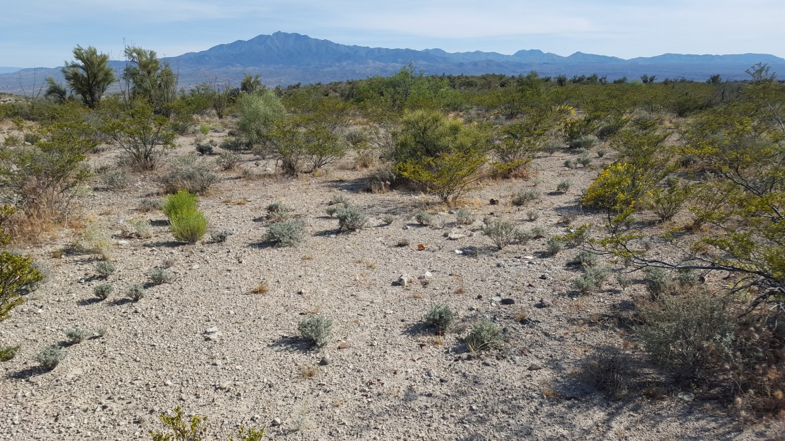 Highway 70 Nr Peridot San Carlos Res Arizona 19.04.162016-04-19 16.58.50