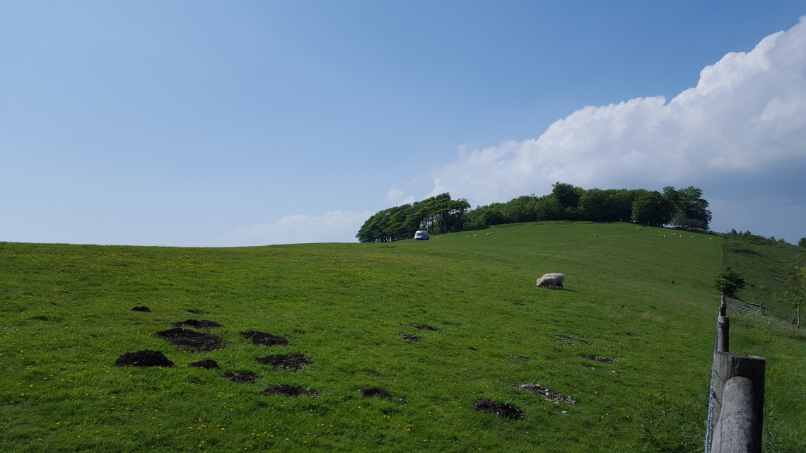 Chactonbury Ring West Sussex 26.05.1620160526_145523