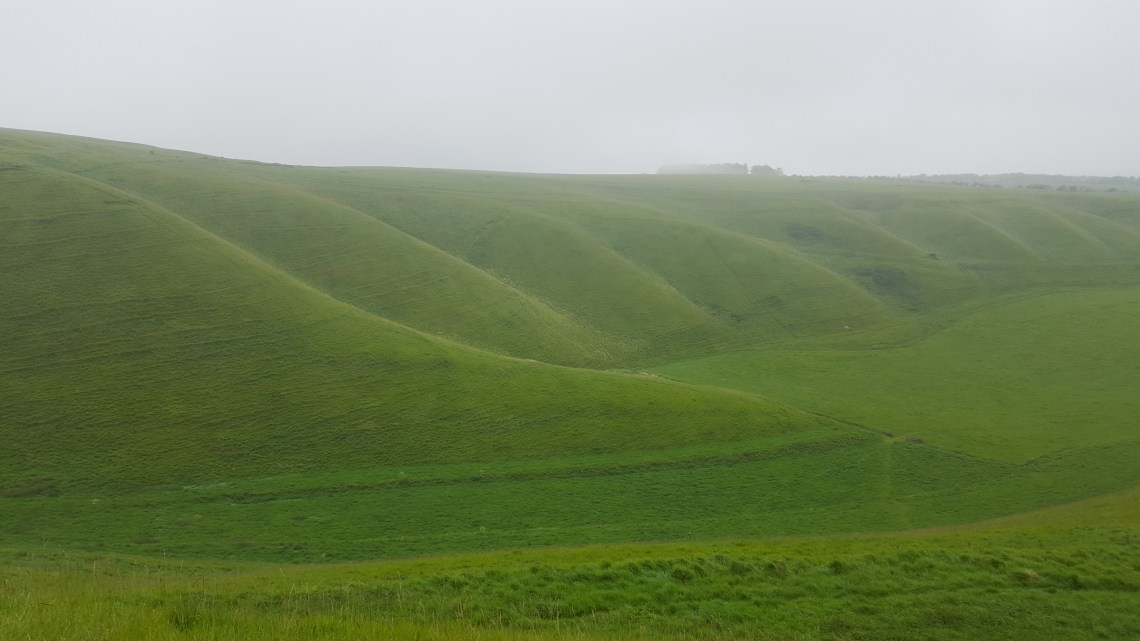 White Horse .06.162016-06-01 17.06.21.jpg