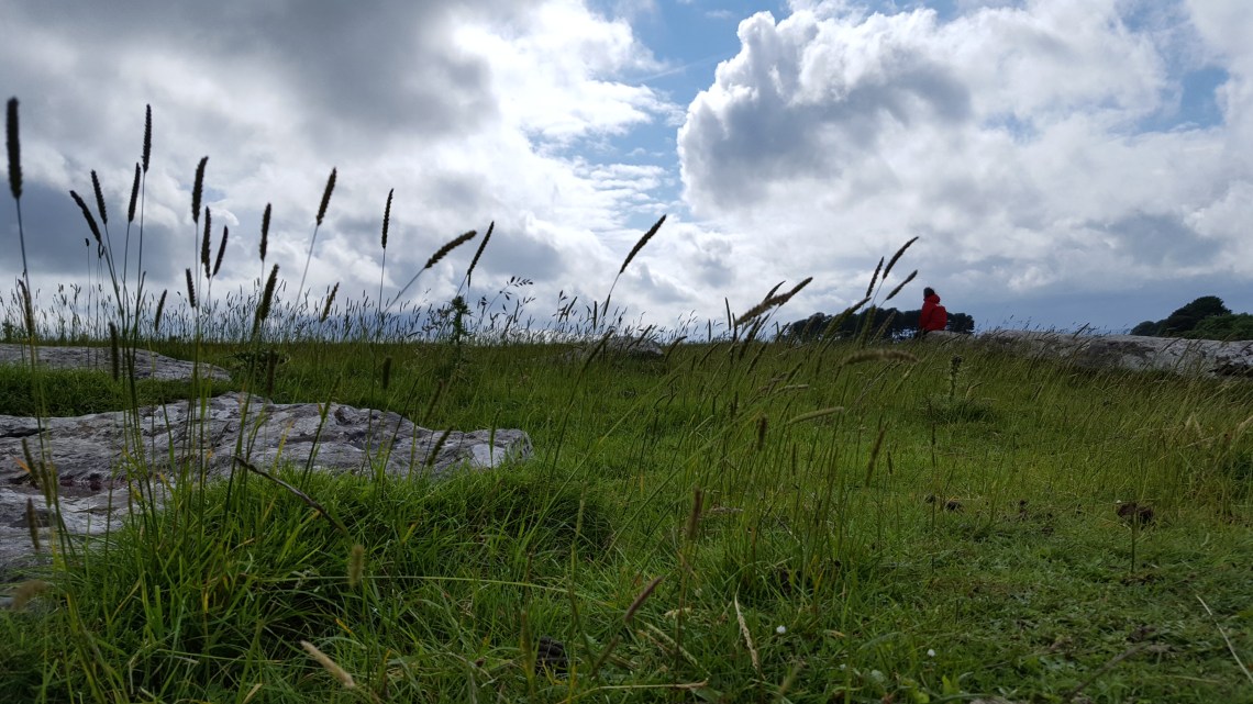 Arbor Low Peak District 29.06.16     20160629_163141_002
