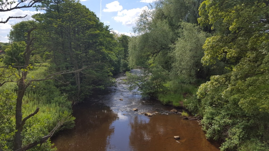 Lealhall N Yorkshire 04.07.16 jpgthumb_20160704_111041_1024