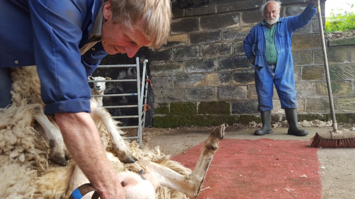 Lealhall N Yorkshire 04.07.16 jpgthumb_IMG_20160704_133938_1024