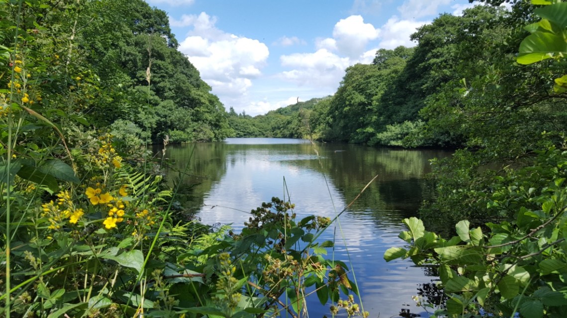 thumb_20160722_134131_1024