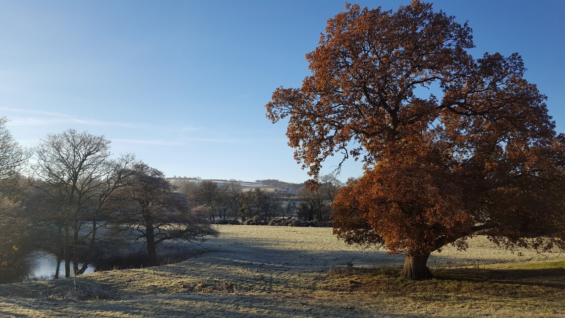 lealhome-26-11-2016-20161126_092831