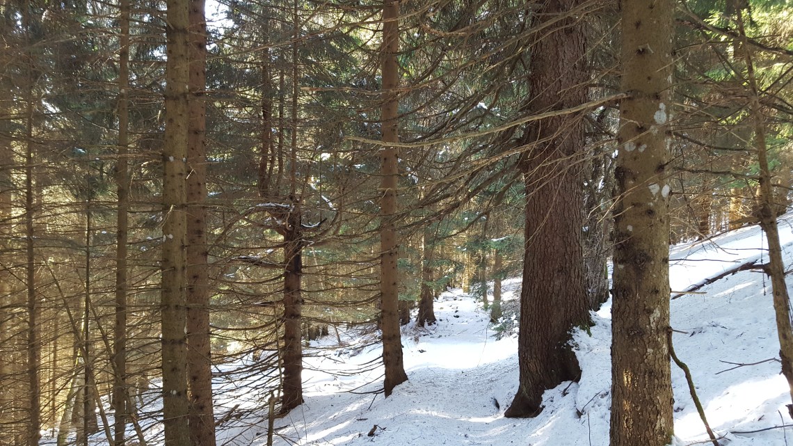 essert-la-pierre-to-mont-evian-france-20-01-1720170124_142845