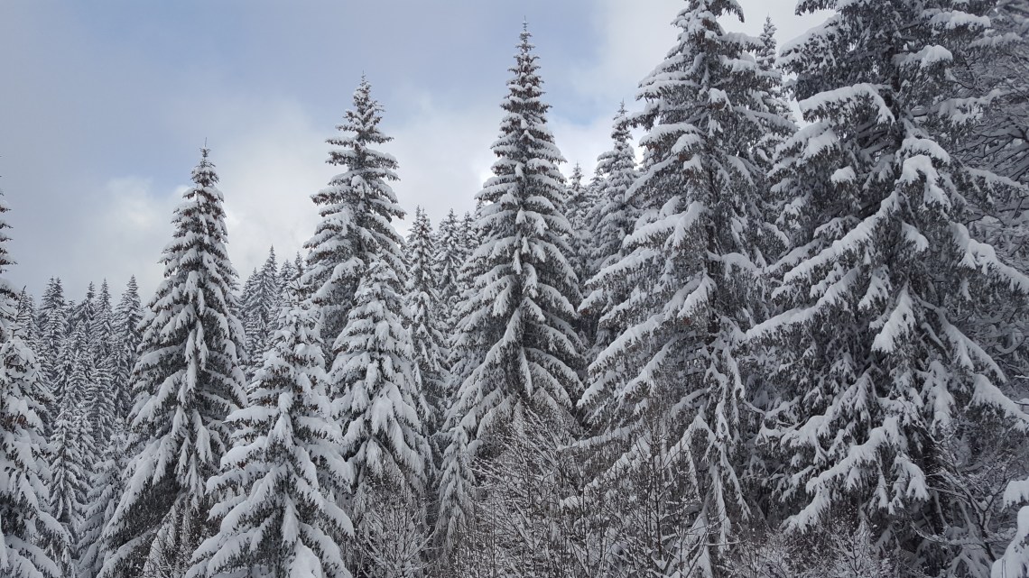 Nyon-Pleny 08.03.1720170307_161143