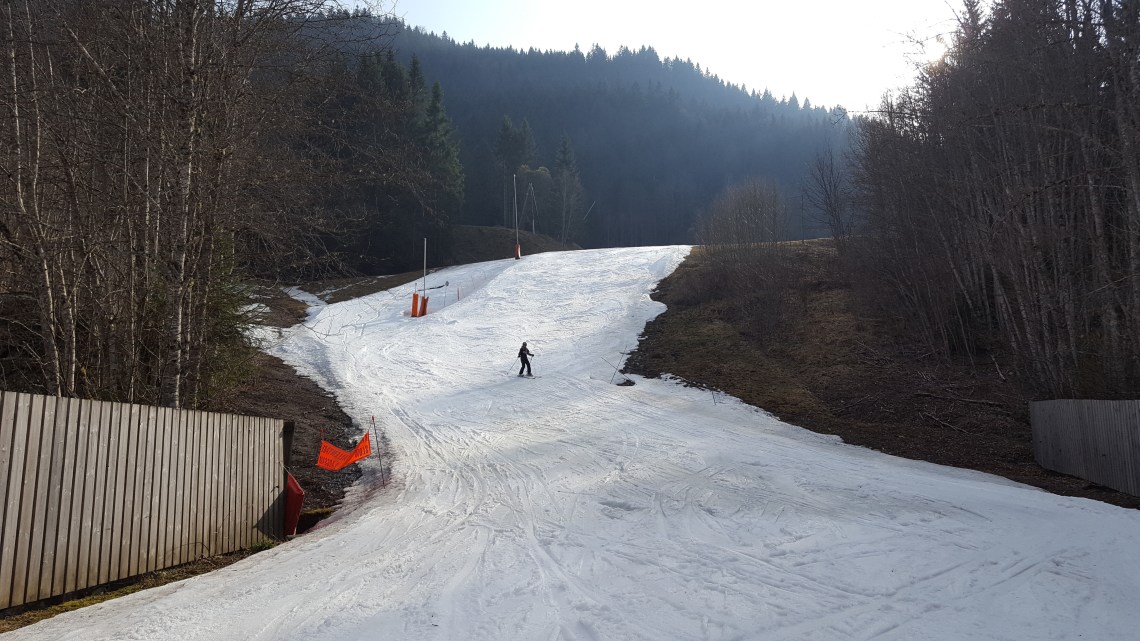 Pleny lievre into Car Park 25.03.17