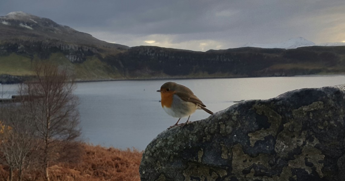 Portree Isle of skye Scotland November 201720171129_210506.jpg