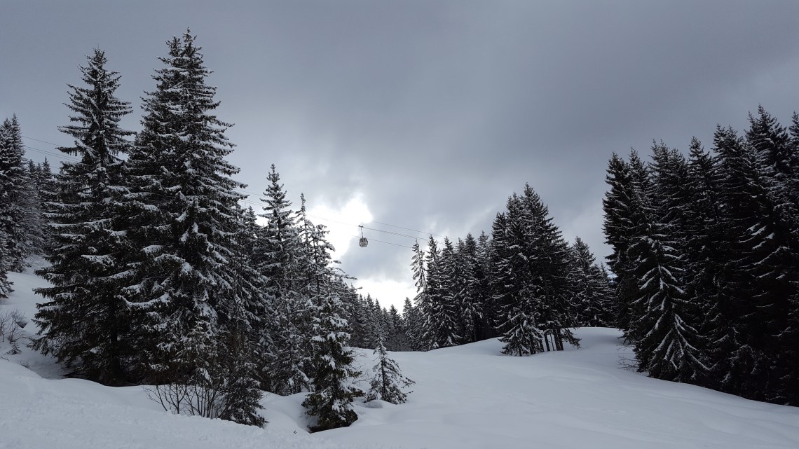 Mont Cherry 07.03.1820180307_150821