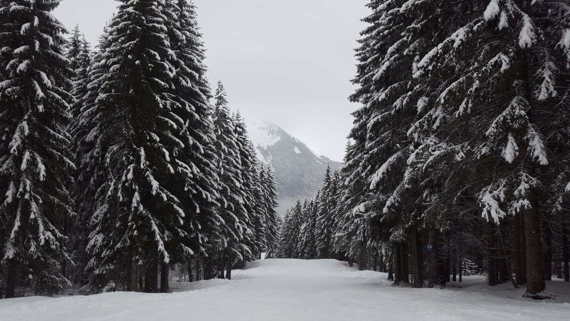 Pleny Morzine 17.03.1820180313_154851