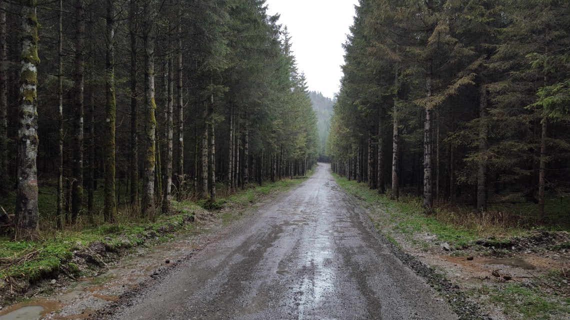 Ajdovščina, Slovenia 09.05.1720170509_163508 copy