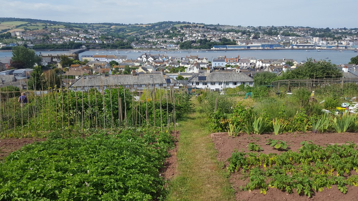 Allotment Shaldon 23.06.1820180623_162003 copy