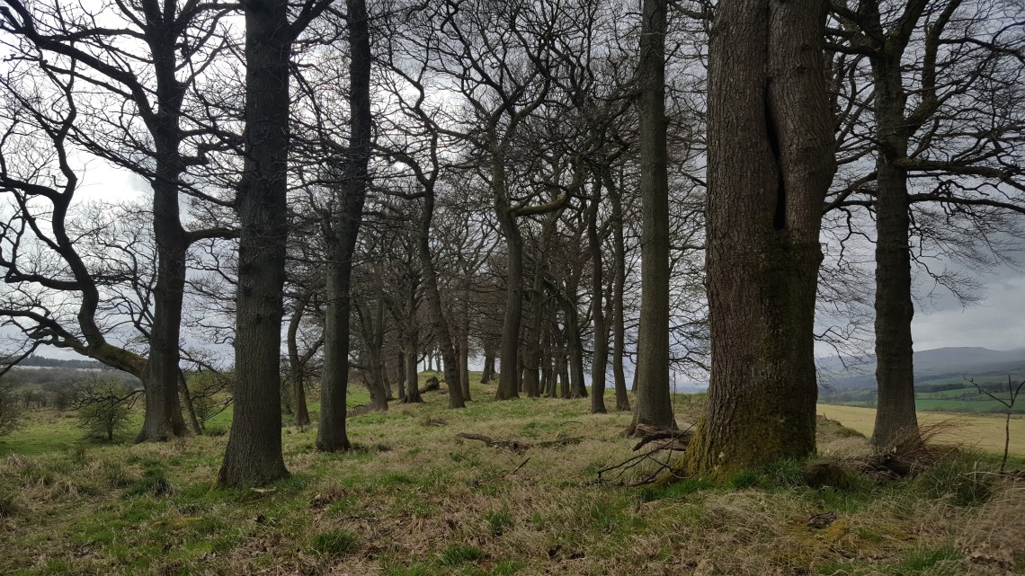 Antonine Wall Castlecary Scotland 24.04.18 20180424_155640 copy