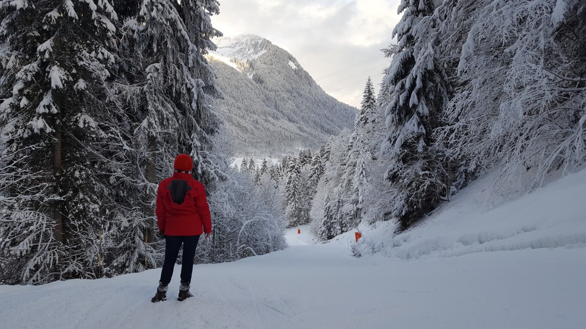 Looking back on route de la manche.jpg