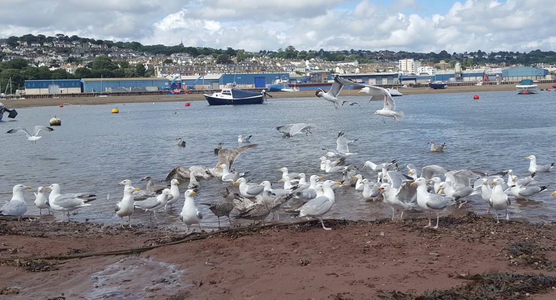 IMG_20170730_183055_359