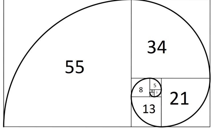 Fiobonicci Spiral